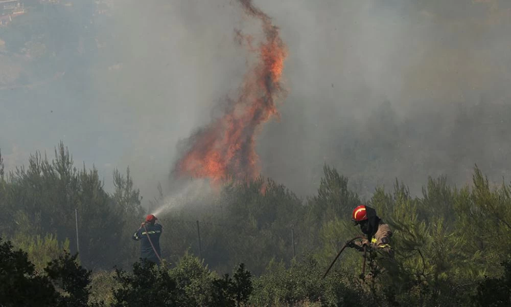 Σε εξέλιξη βρίσκεται φωτιά στη Χασιά Αττικής
